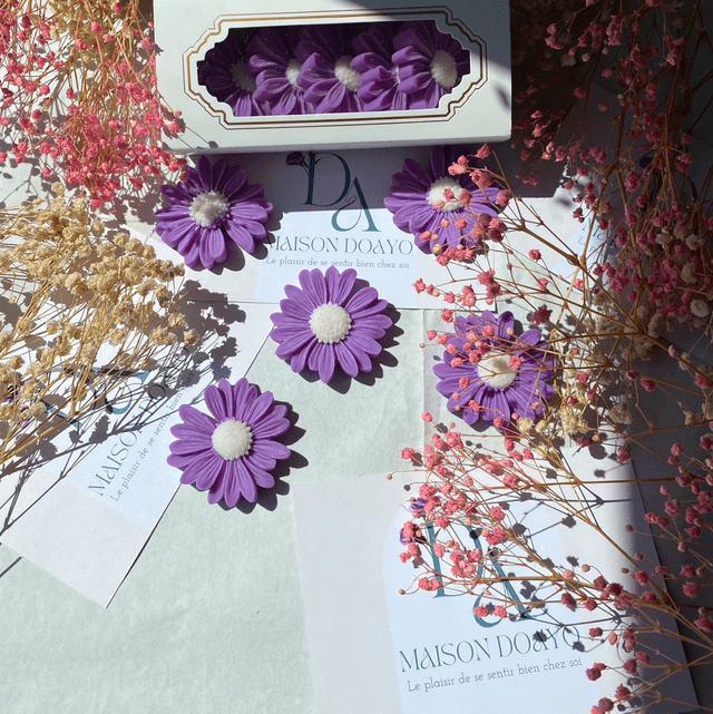 Le Coffret Fondants Daisy